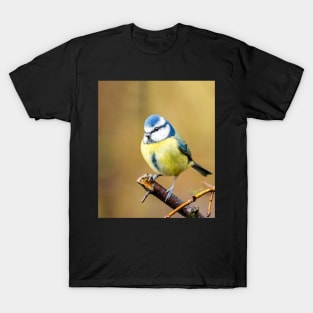 A blue tit in an English garden T-Shirt